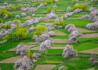 Climbers on Khaplu Velley Blossom Tour
